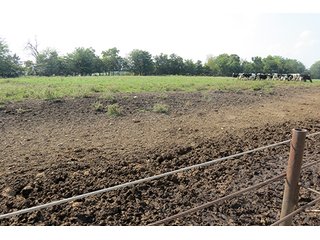 Pasture - Tract 3 - 712+/- Acres offered in 12 Tracts, Missouri Land Auction