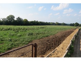 Pasture & Feed Lot - Tract 3 - 712+/- Acres offered in 12 Tracts, Missouri Land Auction