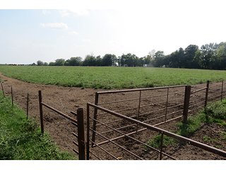 Pasture & Feed Lot - Tract 3 - 712+/- Acres offered in 12 Tracts, Missouri Land Auction