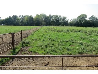 Pasture & Feed Lot - Tract 3 - 712+/- Acres offered in 12 Tracts, Missouri Land Auction