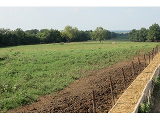 Pasture & Feed Lot - Tract 3 - 712+/- Acres offered in 12 Tracts, Missouri Land Auction