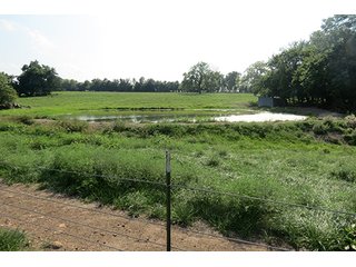 Pond on Tract 3 - 712+/- Acres offered in 12 Tracts, Missouri Land Auction
