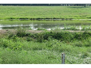 Pond on Tract 3 - 712+/- Acres offered in 12 Tracts, Missouri Land Auction