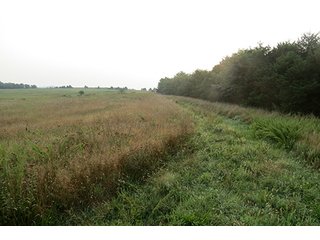 Pasture, Hayfields Wooded - Tract 12 - 712+/- Acres offered in 12 Tracts, Missouri Land Auction