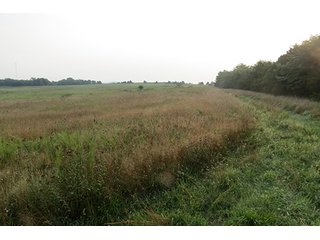 Pasture, Hayfields Wooded - Tract 12 - 712+/- Acres offered in 12 Tracts, Missouri Land Auction