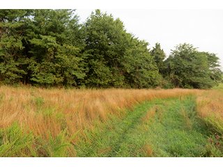 Pasture, Hayfields Wooded - Tract 12 - 712+/- Acres offered in 12 Tracts, Missouri Land Auction