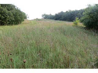 Pasture, Hayfields Wooded  - Tract 12 - 712+/- Acres offered in 12 Tracts, Missouri Land Auction