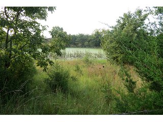 Tract 12 - 712+/- Acres offered in 12 Tracts, Missouri Land Auction