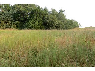 Tract 12 - 712+/- Acres offered in 12 Tracts, Missouri Land Auction