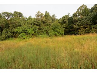 Tract 12 - 712+/- Acres offered in 12 Tracts, Missouri Land Auction