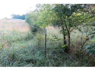 Tract 12 - 712+/- Acres offered in 12 Tracts, Missouri Land Auction