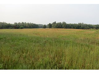 Tract 12 - 712+/- Acres offered in 12 Tracts, Missouri Land Auction