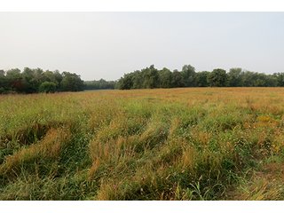 Tract 12 - 712+/- Acres offered in 12 Tracts, Missouri Land Auction