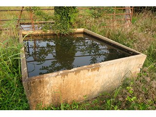 Water Tank from the Pond on Tract 12 - 712+/- Acres offered in 12 Tracts, Missouri Land Auction