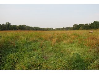 Tract 12 - 712+/- Acres offered in 12 Tracts, Missouri Land Auction
