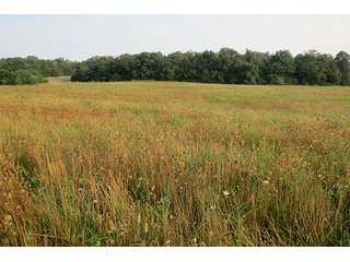 Tract 12 - 712+/- Acres offered in 12 Tracts, Missouri Land Auction