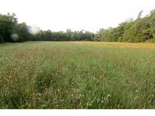 Tract 12 - 712+/- Acres offered in 12 Tracts, Missouri Land Auction