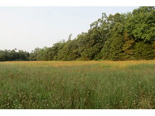 Tract 12 - 712+/- Acres offered in 12 Tracts, Missouri Land Auction