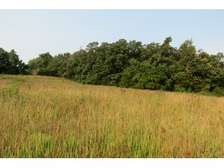 Tract 12 - 712+/- Acres offered in 12 Tracts, Missouri Land Auction