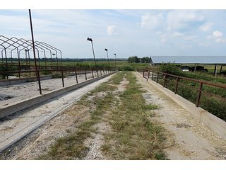Tract 4 - 712+/- Acres offered in 12 Tracts, Missouri Land Auction