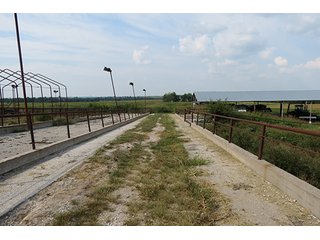 Tract 4 - 712+/- Acres offered in 12 Tracts, Missouri Land Auction