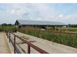 Tract 4 - 712+/- Acres offered in 12 Tracts, Missouri Land Auction