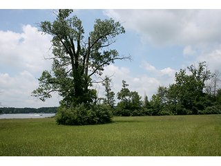 Property photo 12 - Real Estate Auction - Loon Lake Frontage