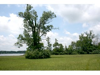 Property photo 6 - Real Estate Auction - Loon Lake Frontage