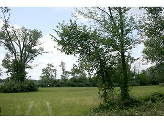 Property photo 11 - Real Estate Auction - Loon Lake Frontage