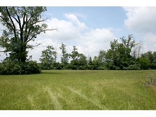 Property photo 9 - Real Estate Auction - Loon Lake Frontage