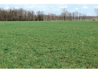 tract 6 - 86 +/- Acres of Northwest Pennsylvania Land offered in 6 Tracts