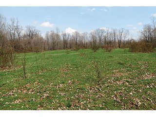 tract 6 - 86 +/- Acres of Northwest Pennsylvania Land offered in 6 Tracts