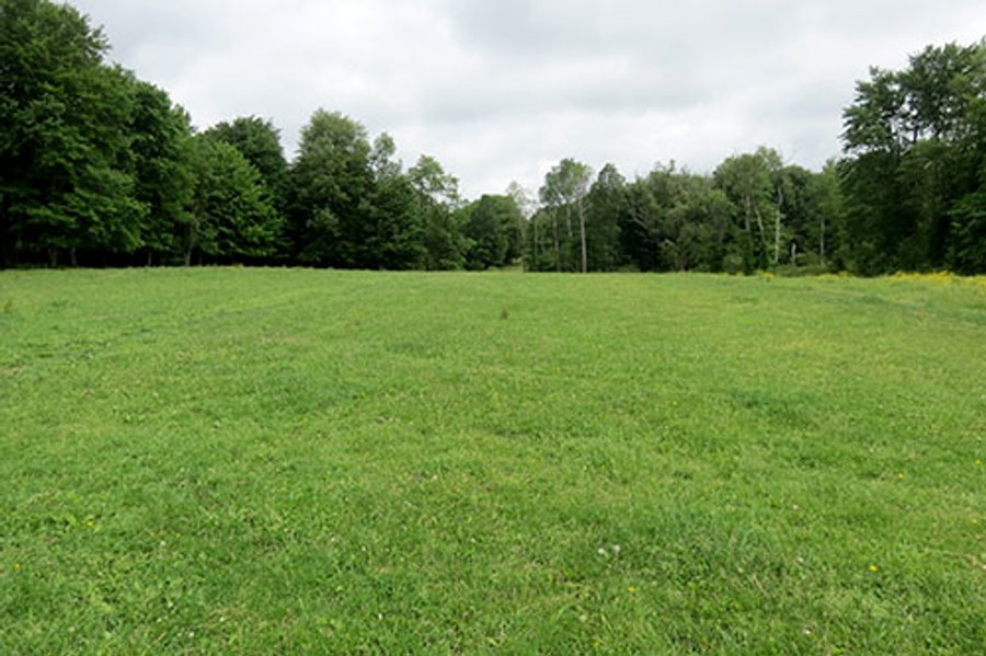 86 +/- Acres of Northwest Pennsylvania Land offered in 6 Tracts