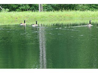 Property photo 16 - 86 +/- Acres of Northwest Pennsylvania Land offered in 6 Tracts