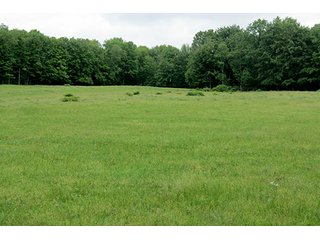 Property photo 2 - 86 +/- Acres of Northwest Pennsylvania Land offered in 6 Tracts