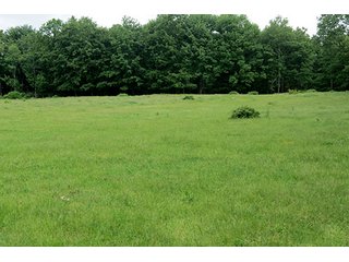 Property photo 15 - 86 +/- Acres of Northwest Pennsylvania Land offered in 6 Tracts