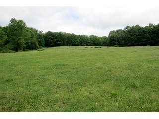 Property photo 9 - 86 +/- Acres of Northwest Pennsylvania Land offered in 6 Tracts