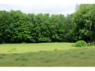 Property photo 10 - 86 +/- Acres of Northwest Pennsylvania Land offered in 6 Tracts