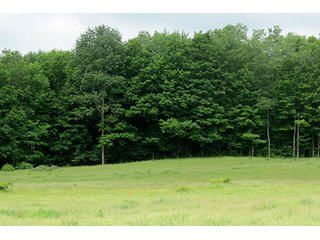 Property photo 25 - 86 +/- Acres of Northwest Pennsylvania Land offered in 6 Tracts