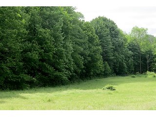Property photo 22 - 86 +/- Acres of Northwest Pennsylvania Land offered in 6 Tracts