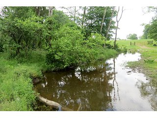 Property photo 4 - 86 +/- Acres of Northwest Pennsylvania Land offered in 6 Tracts