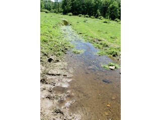 Property photo 1 - 86 +/- Acres of Northwest Pennsylvania Land offered in 6 Tracts