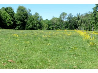 Property photo 18 - 86 +/- Acres of Northwest Pennsylvania Land offered in 6 Tracts