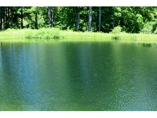 Property photo 24 - 86 +/- Acres of Northwest Pennsylvania Land offered in 6 Tracts