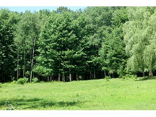 Property photo 8 - 86 +/- Acres of Northwest Pennsylvania Land offered in 6 Tracts