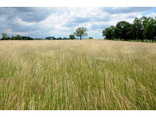 Property photo 90 - Ohio Real Estate Auction20.6 +/- Acres and Prestigious, Stately Colonial Home with Buildings