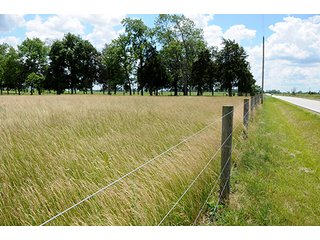 Property photo 78 - Ohio Real Estate Auction20.6 +/- Acres and Prestigious, Stately Colonial Home with Buildings