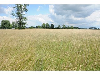 Property photo 71 - Ohio Real Estate Auction20.6 +/- Acres and Prestigious, Stately Colonial Home with Buildings