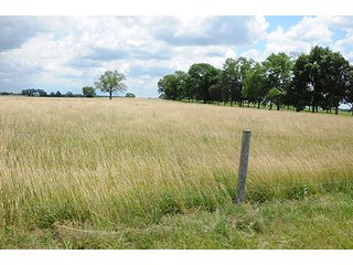 Property photo 82 - Ohio Real Estate Auction20.6 +/- Acres and Prestigious, Stately Colonial Home with Buildings