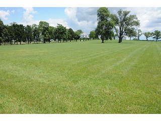 Property photo 74 - Ohio Real Estate Auction20.6 +/- Acres and Prestigious, Stately Colonial Home with Buildings